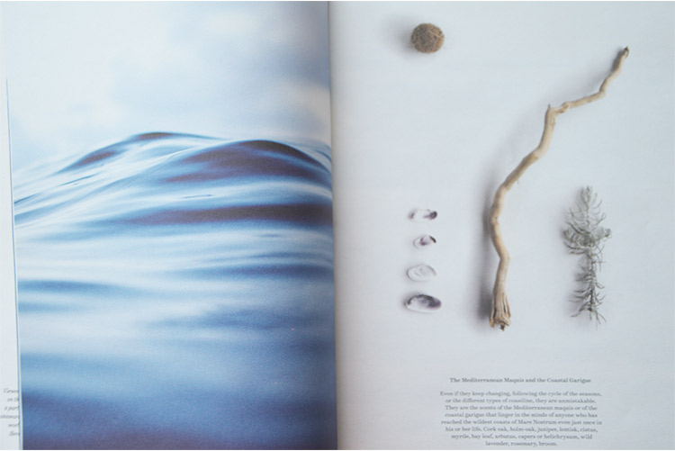 Sirene2_Img1