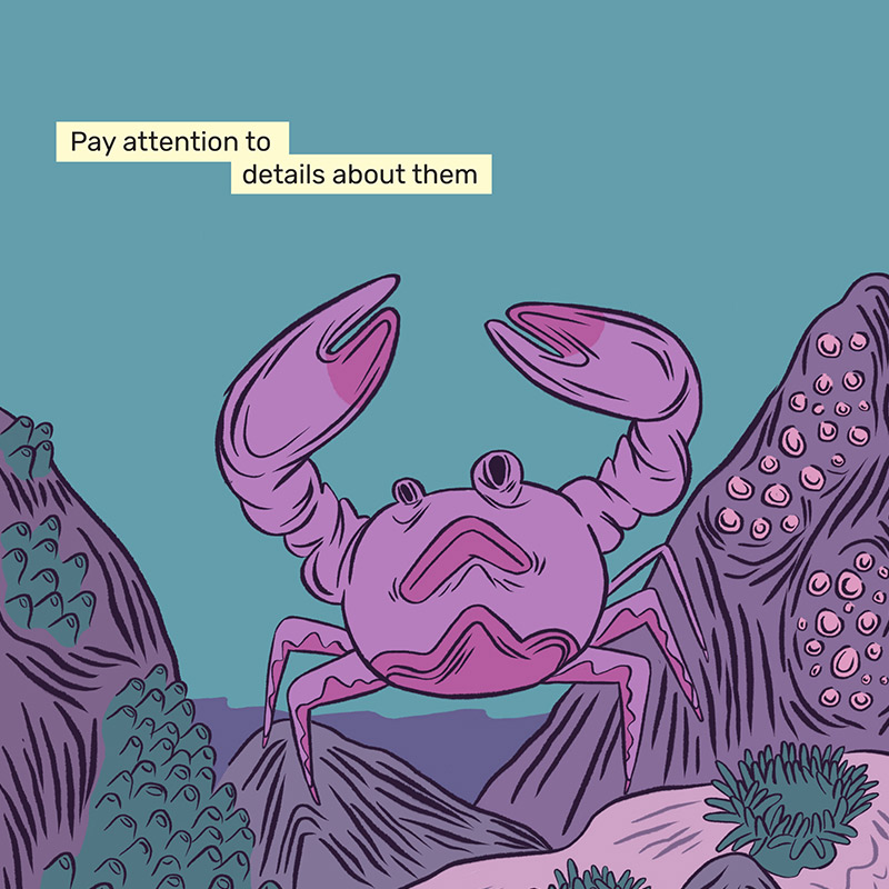 1_howtofallinlovewiththesea_biglittlethings_header