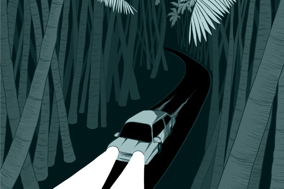 Lockdowns and Long Drives