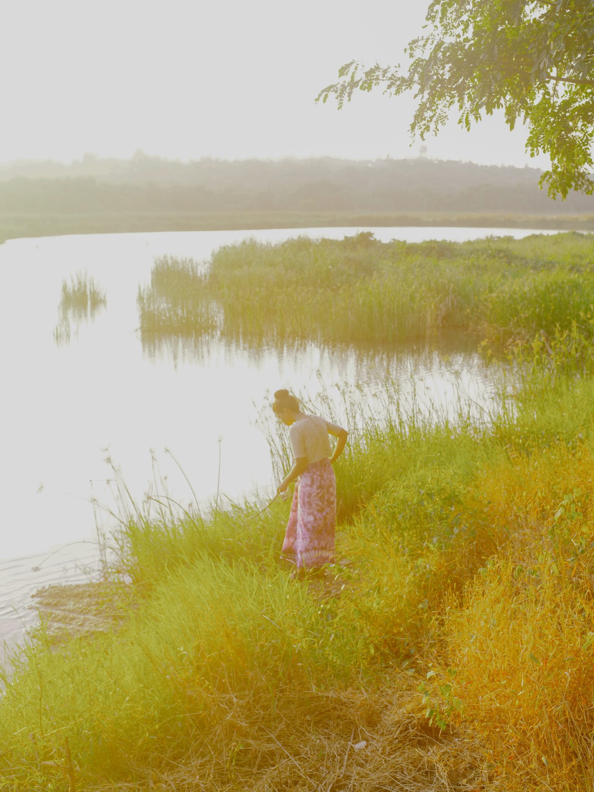 Mangroves, Fresh Fish, and Evening Walks by the Manus in Goa - Paper Planes