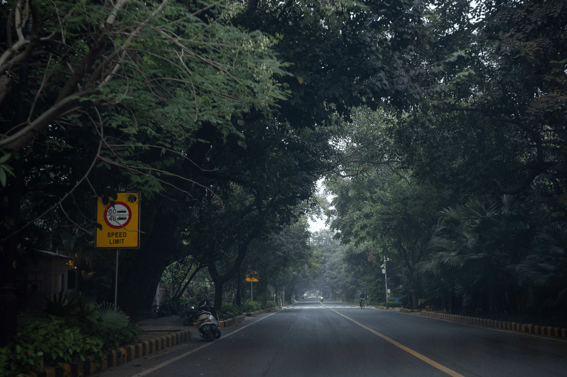 The Tree-Lined Avenues of Lutyens’ Delhi