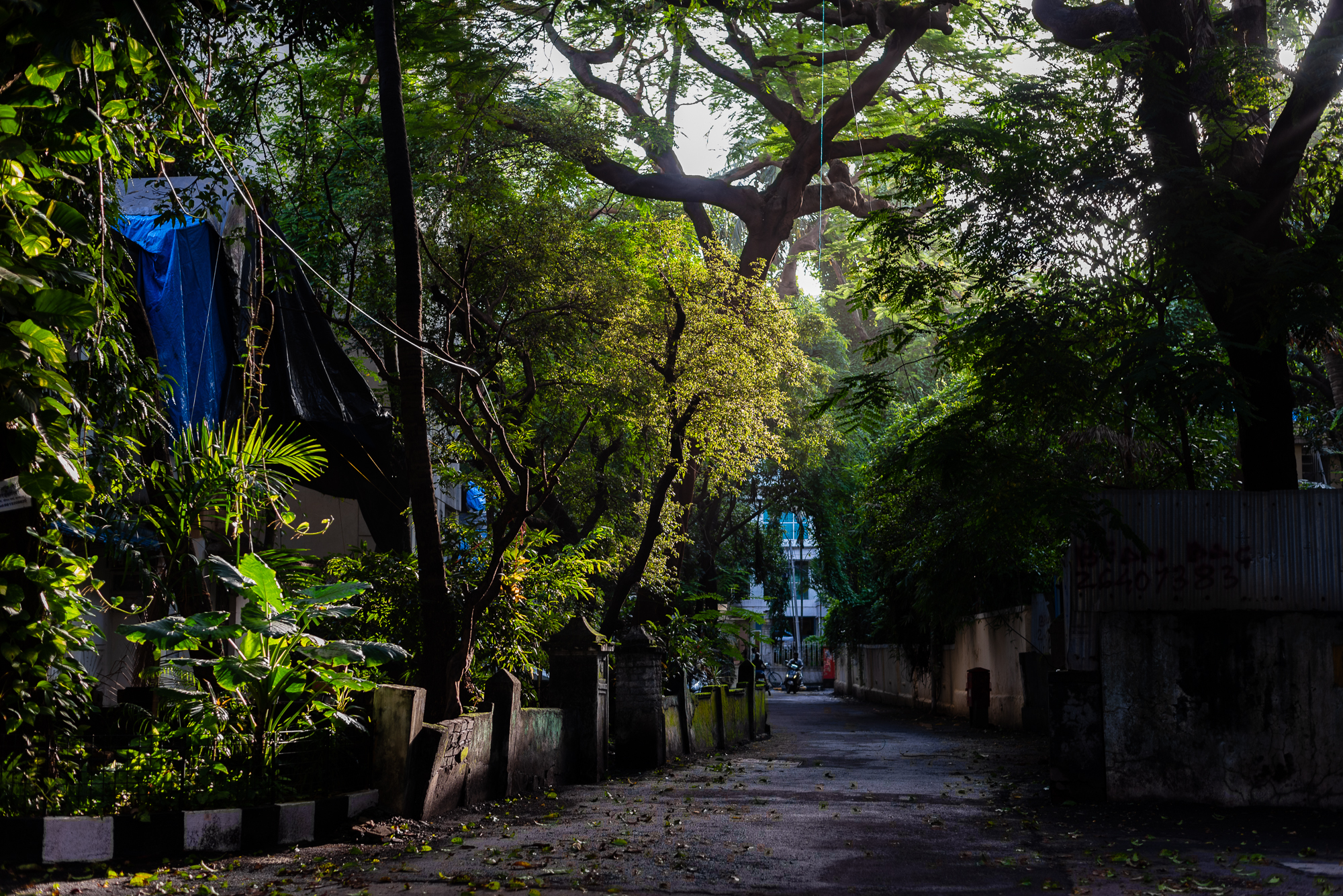 A by-lane in Bandra