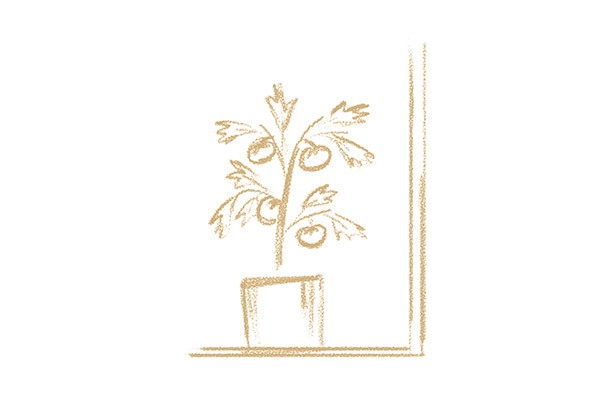 Big-Little-Things-Social-Entrepreneurs-EdibleRoutes