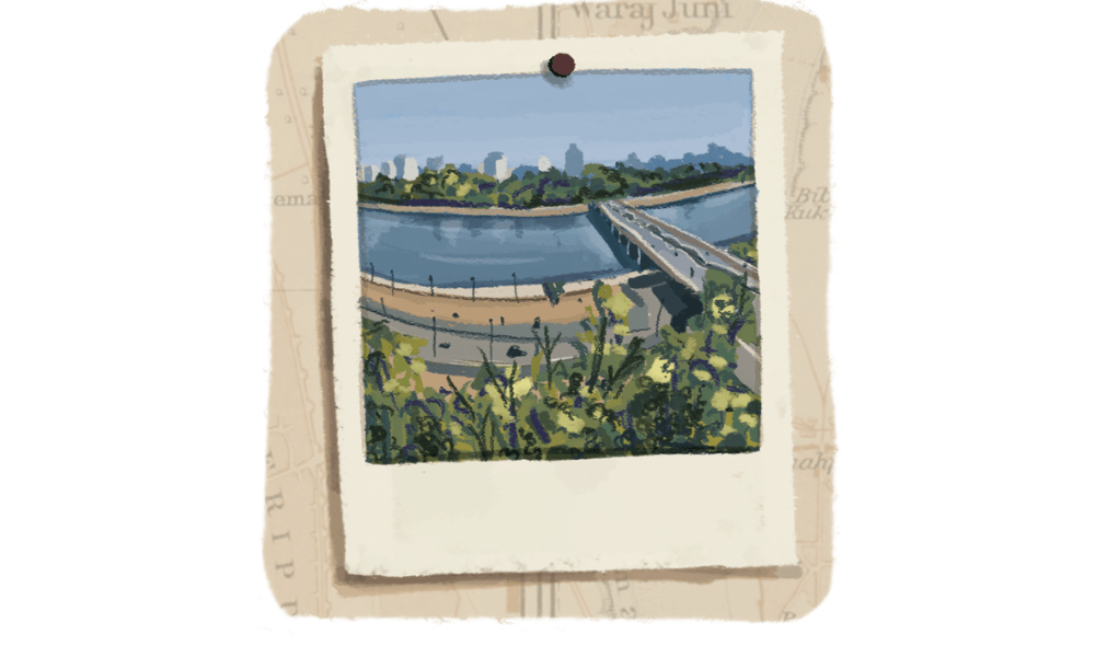 Ahmedabad- Ellis-Bridge