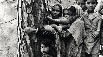 Featured_Chipko 3
