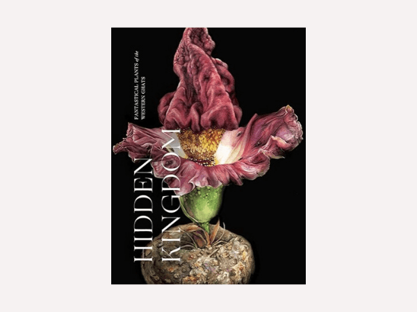 Christmas-books-hidden-kingdom