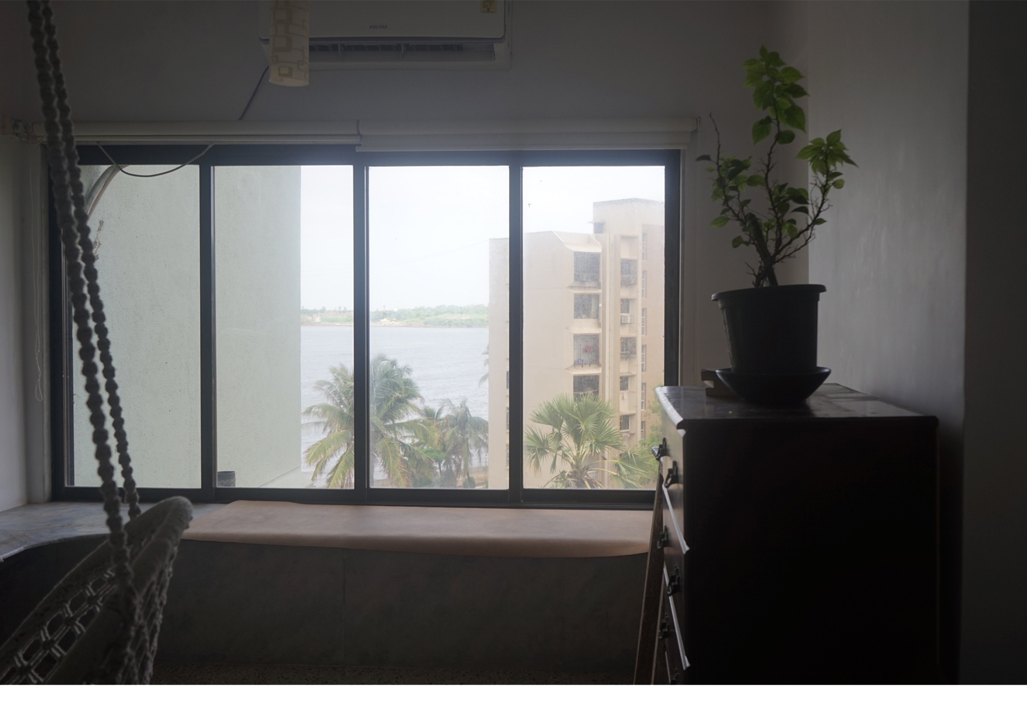 I_Brought_Home_A_New_Plant_Kush_1_Resized