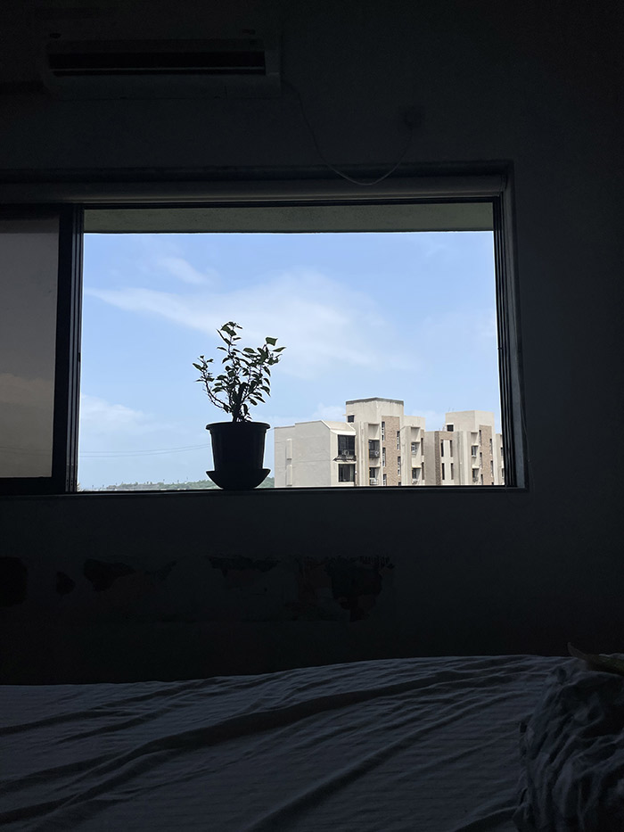 Kush_I_Brought_Home_A_New_Plant_13