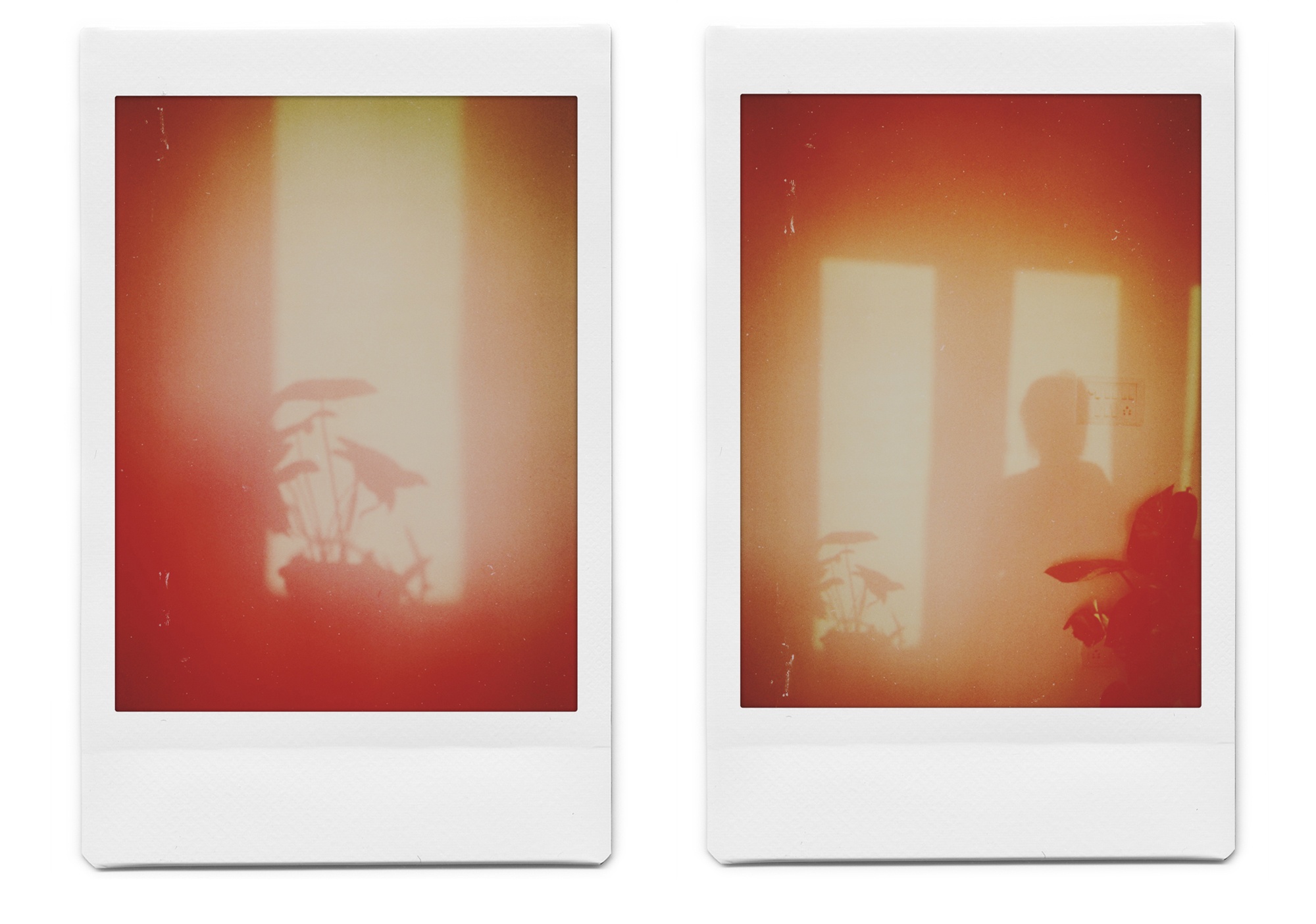 Menty_I_Brought_Home_A_New_Plant_5_RESIZE