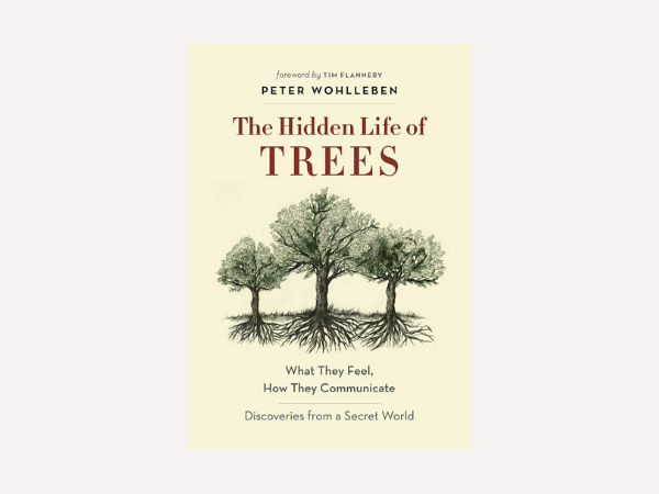Christmas-books-The-hidden-life-of-trees