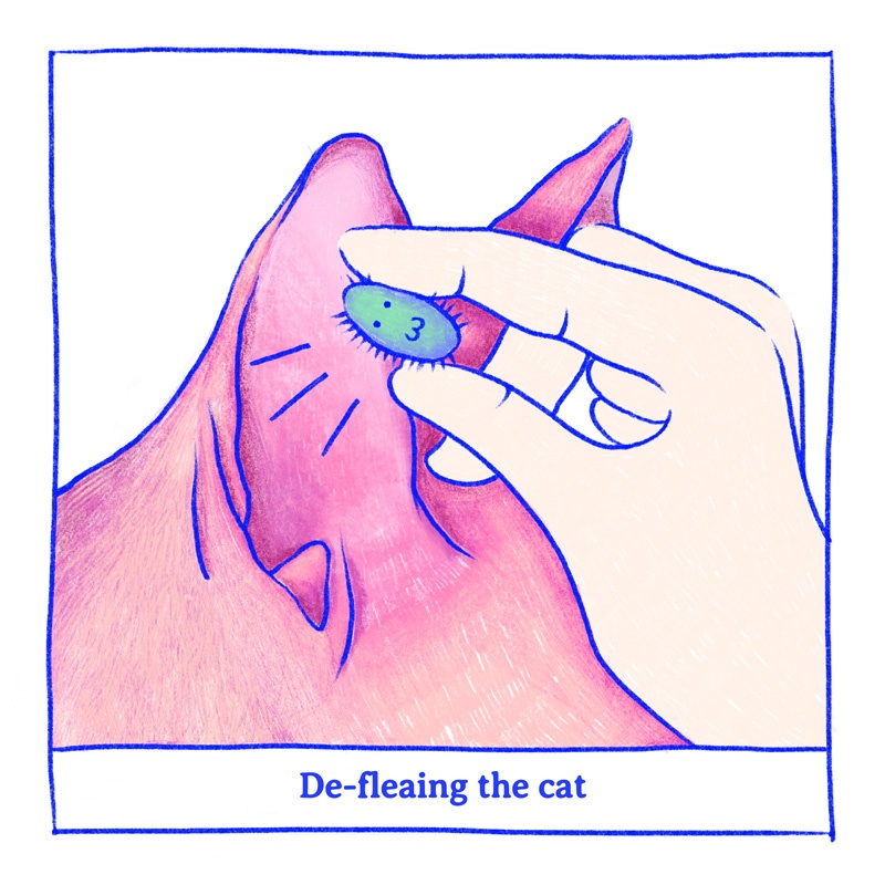 What_We're_Doing_When_We're_Not_Doom-scrolling_Defleaing_2