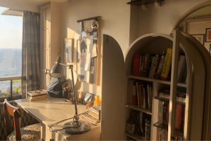 meera-ganapathi-bookshelf-header