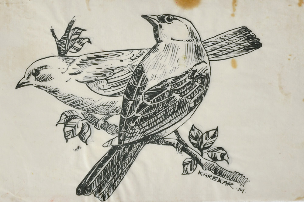mohan-karekar-illustration