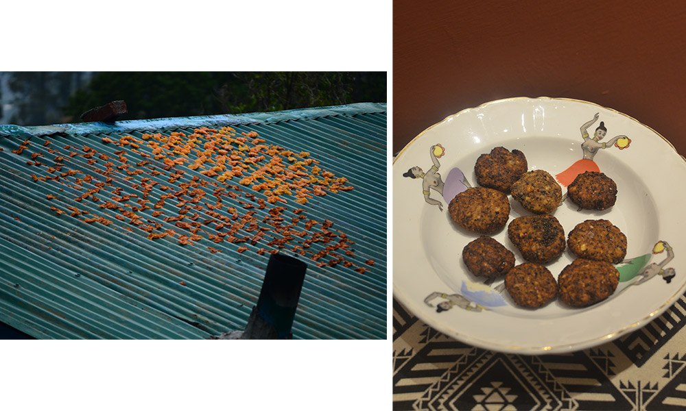 monsoon-gahad-pakodi-apricots