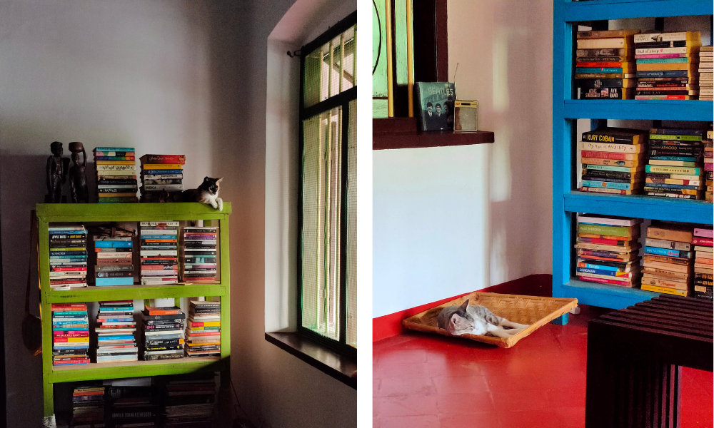 pathira-furniture-trivandrum-cats-bookshelves