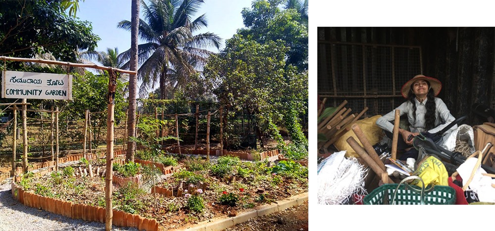 permaculture-design-ananas-community-garden