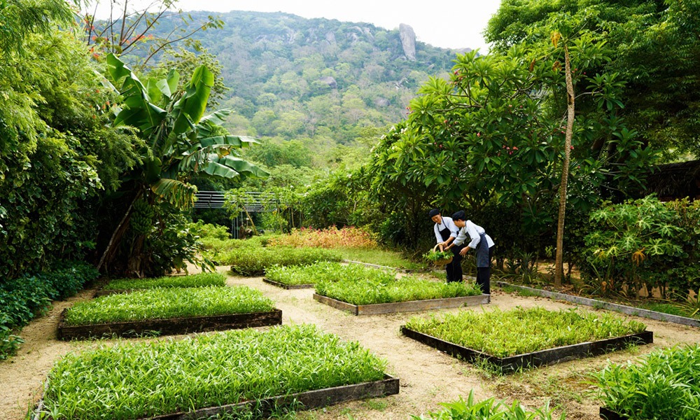 six-senses-organic-garden-wellness