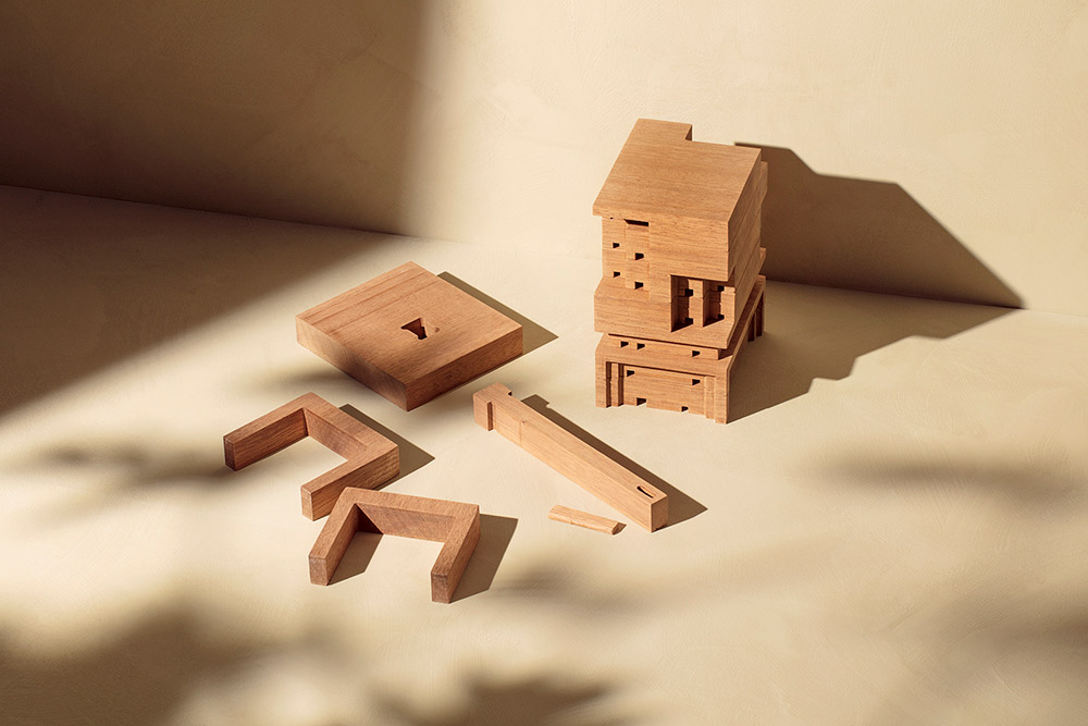 space10-bee-home-deconstructed-Photo-by-Irina-Boersma