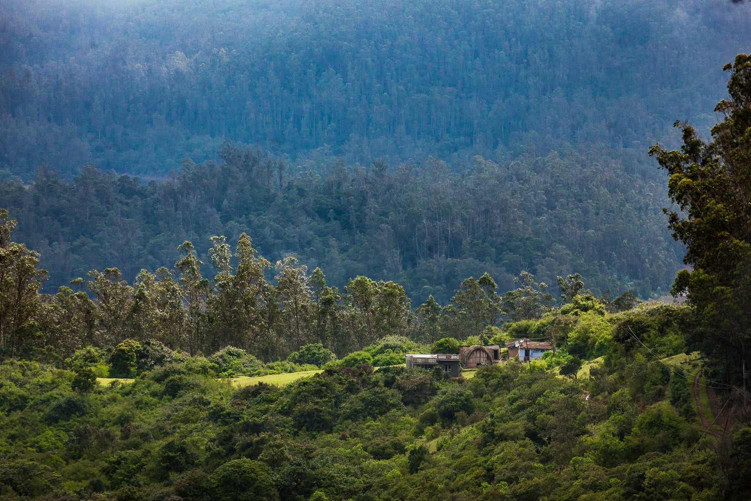 toda-country-ramya-reddy-nilgiris